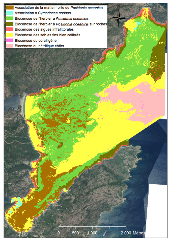 Golfe de Santa-Manza, en marron, les mattes mortes qui ne cessent de progresser  ©Université de Corse