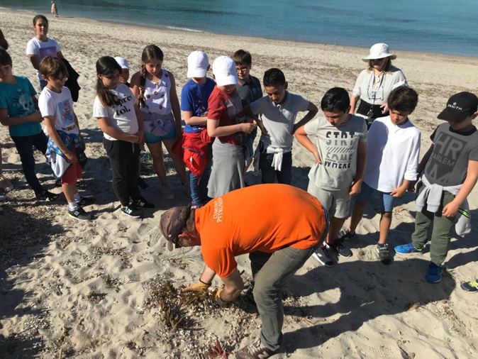 Aire marine. Une première année très riche pour les écoliers du Ruppione Aire marine. Une première année très riche pour les écoliers du Ruppione