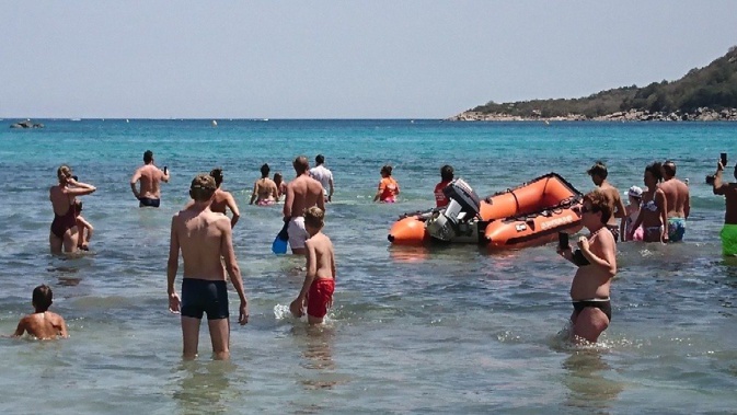 Santa Giulia : La SNSM au secours d’un dauphin Santa Giulia : La SNSM au secours d’un dauphin