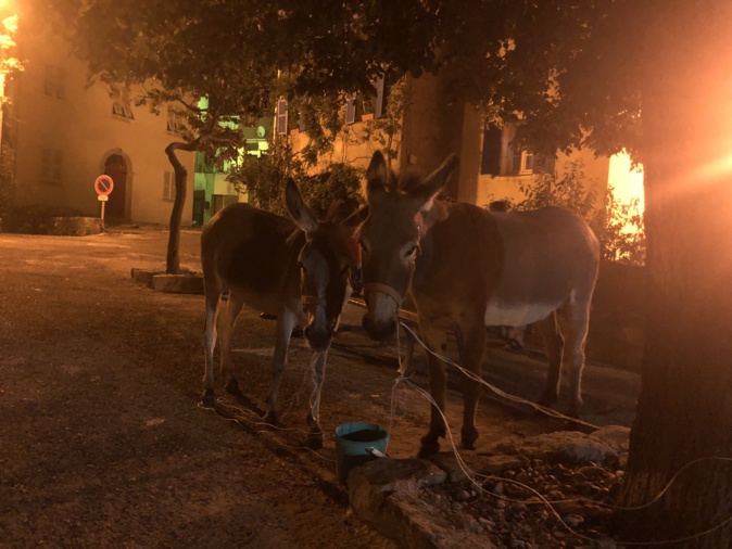 Cochja è Chjuchjara en promenade à Montemaiò Cochja è Chjuchjara en promenade à Montemaiò