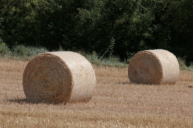 100 ballots de foin ravagés par un incendie à Furiani 100 ballots de foin ravagés par un incendie à Furiani