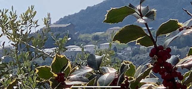 La photo du jour : U caracutu di San Martinu