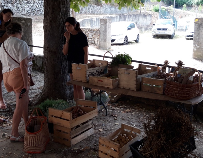 Gravona : L ‘Associu pa a difesa di U Celavu reprend ses mercati nustrali