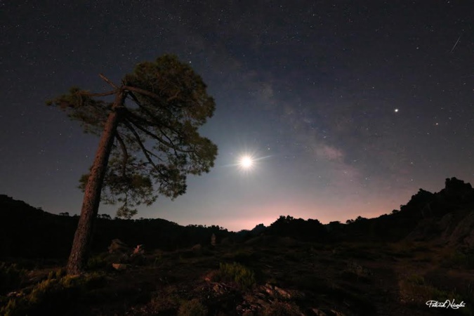 L'éclipse lunaire dans la forêt de l'Ospedale L'éclipse lunaire dans la forêt de l'Ospedale