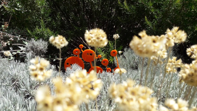 Les colorophages envahissent Bonifacio Les colorophages envahissent Bonifacio