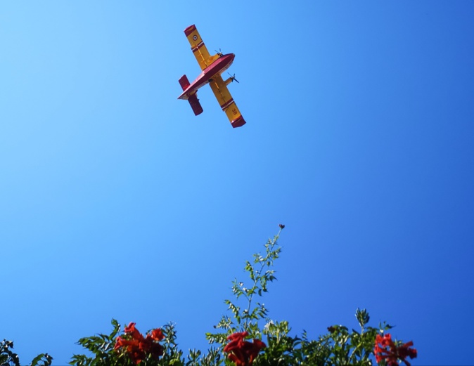 Stephanie Ingram Stephanie Ingram