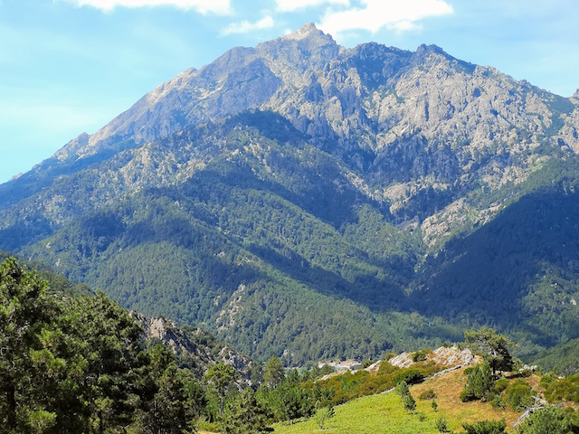 La photo du jour : Le Monte d'Oro, entre Vivario et Vizzavona