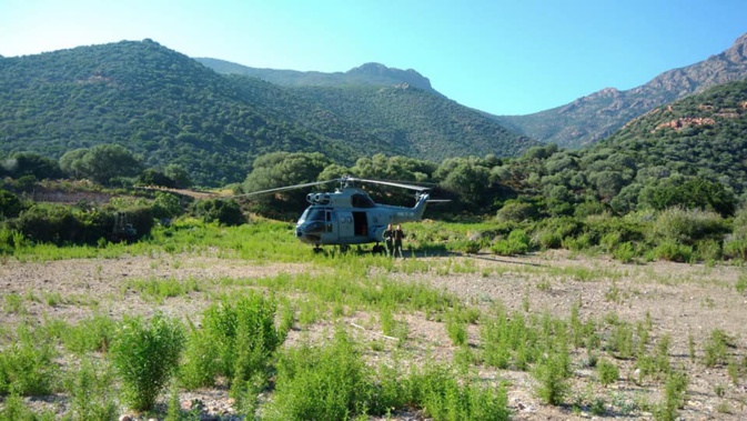 L'hélico s'est posé dans un champ à proximité de la capitainerie de Girolata L'hélico s'est posé dans un champ à proximité de la capitainerie de Girolata