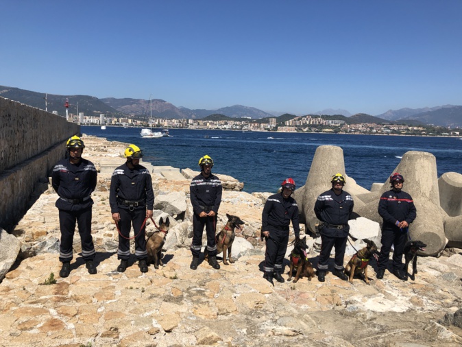Une équipe  cynotechnique en Corse-du-Sud : la belle association entre l’homme et le chien 