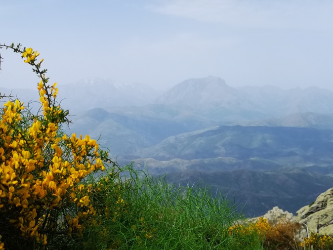 Monte Padru e Capu Biancu (Françoise Geronimi)