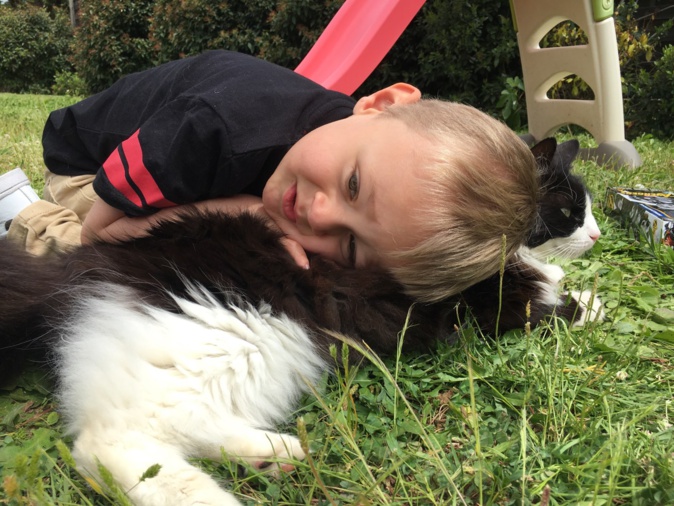 Ajaccio : Hélio’s, une association pour aider Léo à grandir et s’épanouir Ajaccio : Hélio’s, une association pour aider Léo à grandir et s’épanouir