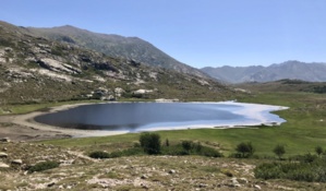 (Archives CNI) (Archives CNI)