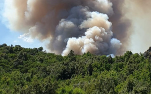 Feu de Castellu-di-Rustinu : L'hélicoptère, les Canadair, le Dash Feu de Castellu-di-Rustinu : L'hélicoptère, les Canadair, le Dash