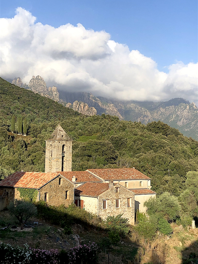 Arbori  dans la pieve de Sorroingiù, (Sylvie Lyons)