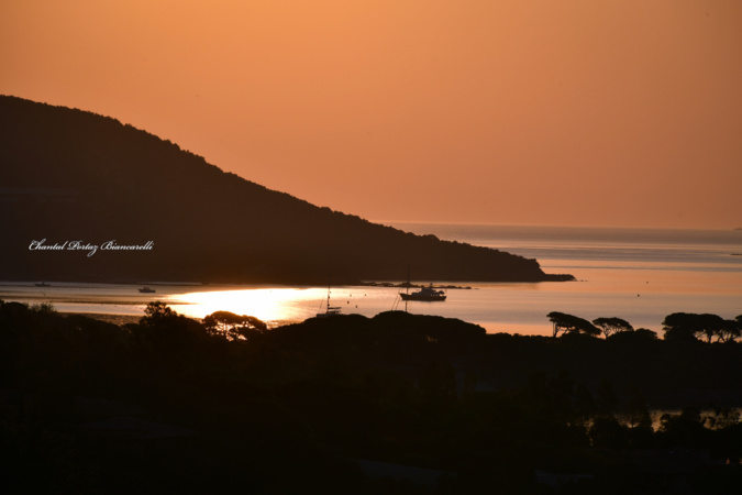 Un lever de soleil tout en douceur sur la baie de Palombaggia. (Chantal Portaz-Biancarelli)