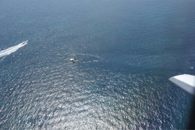 Vedette de Maître GIMS : dépollution en cours à Bonifacio Vedette de Maître GIMS : dépollution en cours à Bonifacio