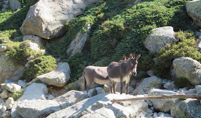 La photo du jour : Sumeri in Timozzu La photo du jour : Sumeri in Timozzu