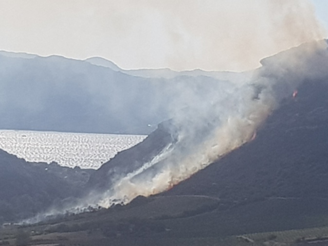 Patrimonio : Le feu a parcouru 6 hectares