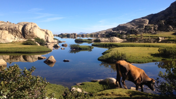 La photo du jour : u  lavu di l'uriente