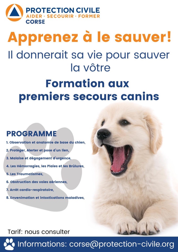 La protection civile de Corse organise une formation aux premiers secours canins