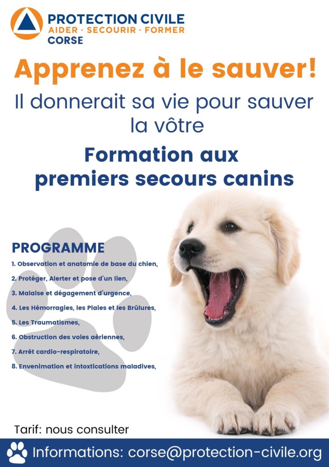 La protection civile de Corse organise une formation aux premiers secours canins La protection civile de Corse organise une formation aux premiers secours canins
