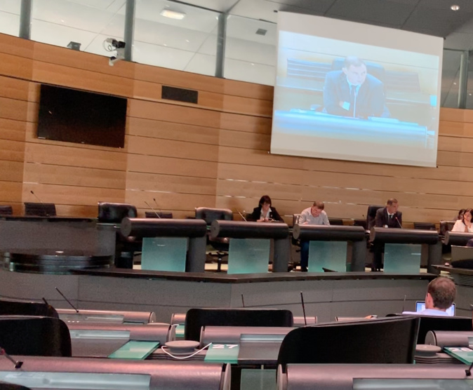 La Xylella Fastidiosa et la Corse : un accord entre tous les acteurs concernés ou…