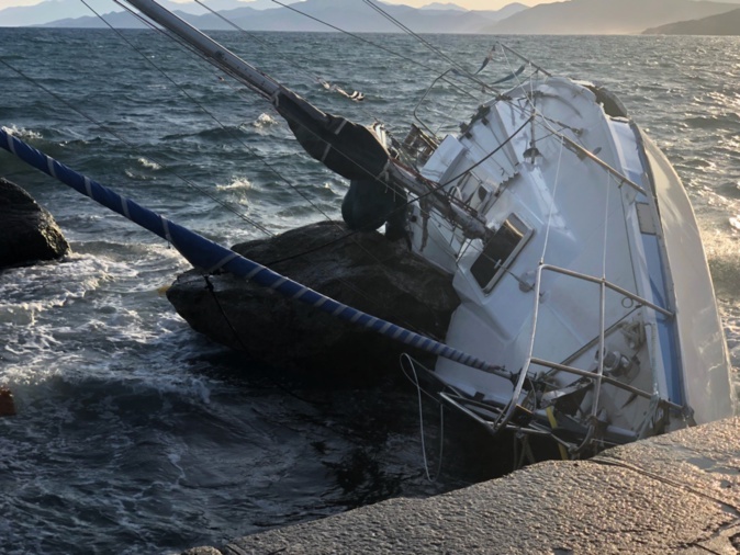 Les insolites de l'été : A Sirenella a reçu une visite inattendue 