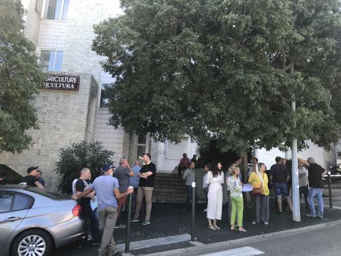 Contrôles PAC : Le agriculteurs de Haute-Corse manifestent leur colère Contrôles PAC : Le agriculteurs de Haute-Corse manifestent leur colère