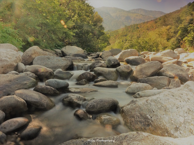 Photo Miles Photograhy