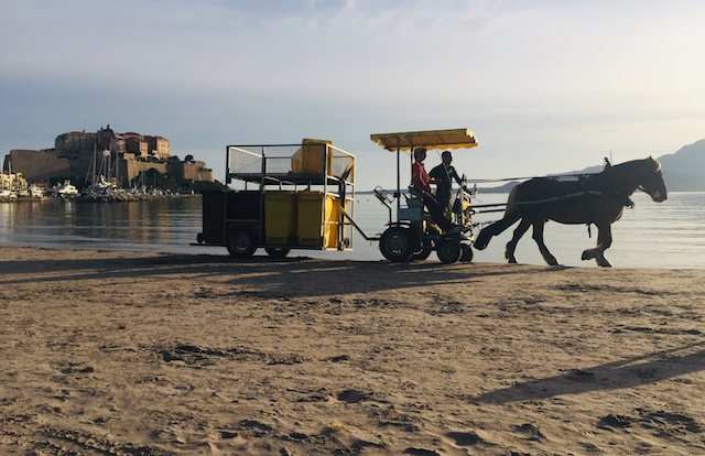 L’attelage des services de la ville de Calvi sur la plage, de bon matin. Photo Mad Rossi