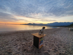 La photo du jour : lorsque le Soleil se lève sur la plage de Calvi