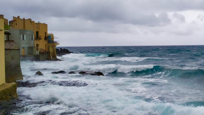 La photo du jour : Marosuli in Erbalonga 