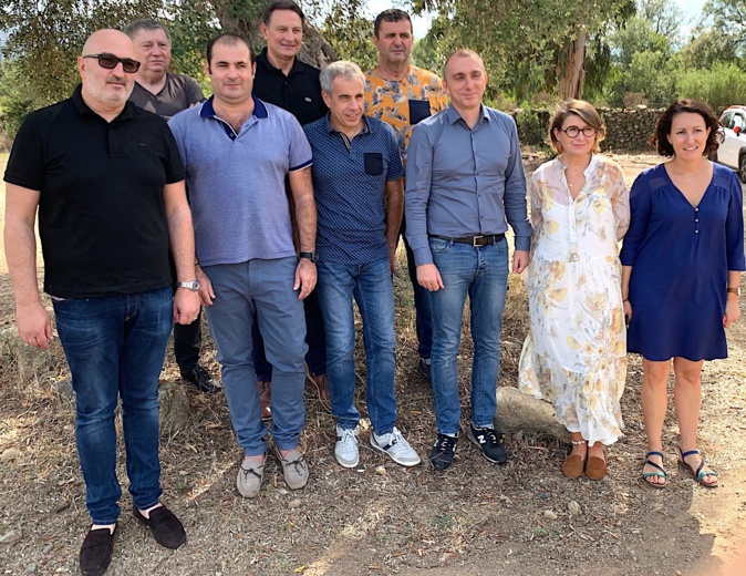 Patrimoniu et Pinu : le soutien de l'office foncier de Corse