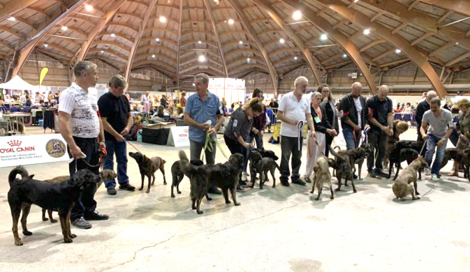 clubducursinu.fr clubducursinu.fr