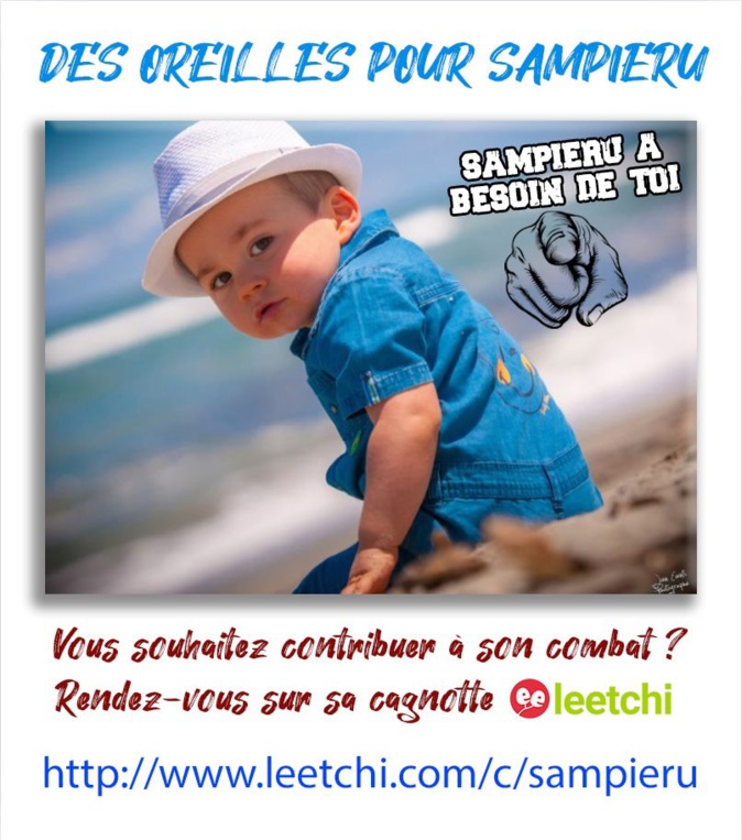 Une cagnotte et de l'espoir pour « donner des oreilles » à Sampieru Une cagnotte et de l'espoir pour « donner des oreilles » à Sampieru