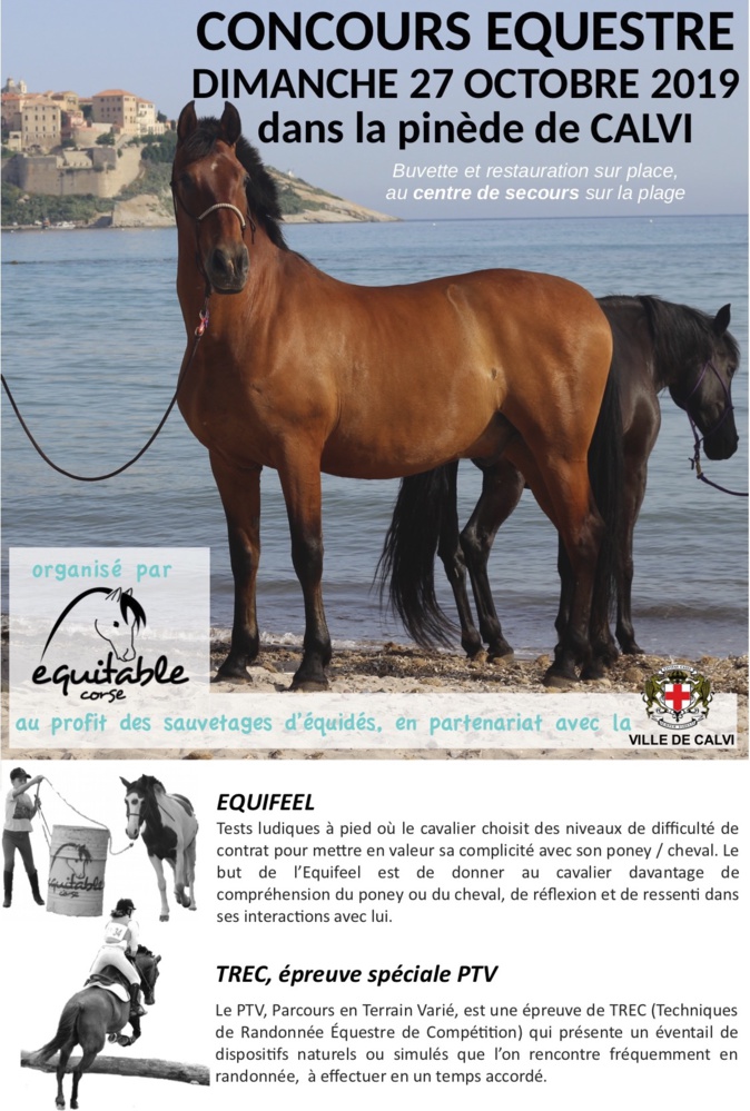 2e édition du concours d’Equifeel et de TREC de Calvi ce dimanche 2e édition du concours d’Equifeel et de TREC de Calvi ce dimanche