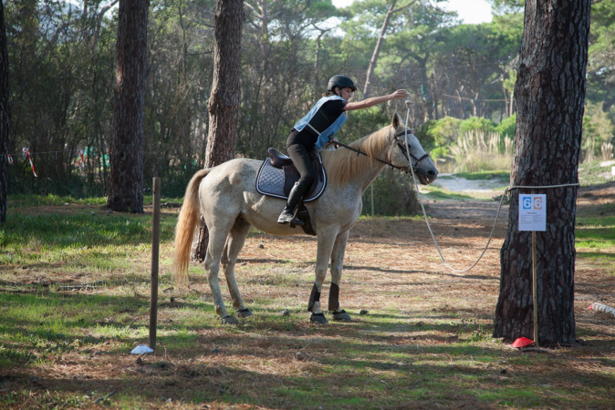2e édition du concours d’Equifeel et de TREC de Calvi ce dimanche 2e édition du concours d’Equifeel et de TREC de Calvi ce dimanche