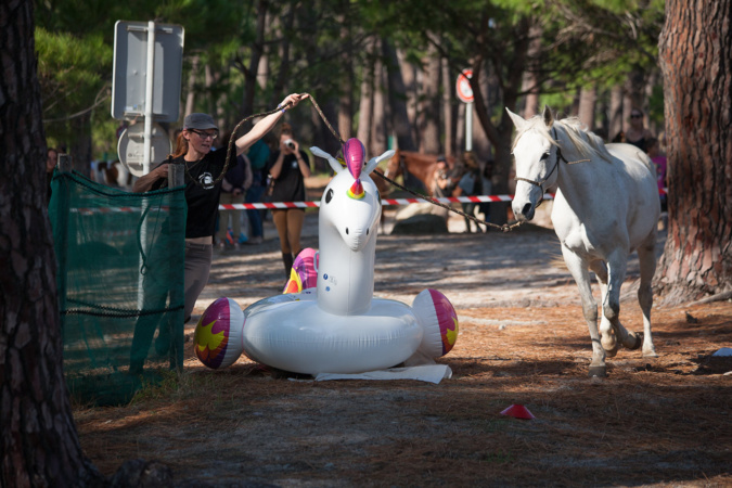 2e édition du concours d’Equifeel et de TREC de Calvi ce dimanche 2e édition du concours d’Equifeel et de TREC de Calvi ce dimanche
