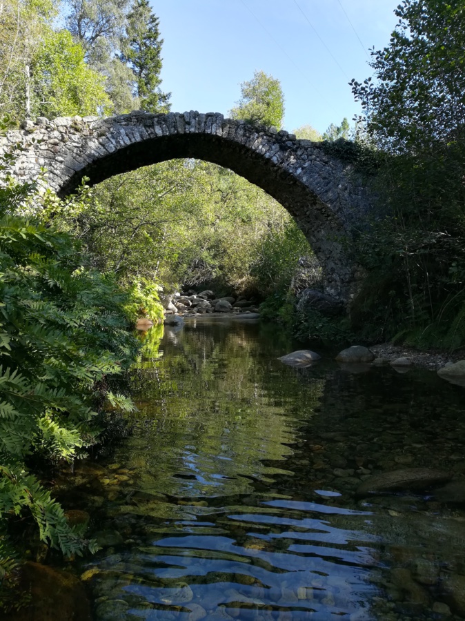 La photo du jour : le pont génois de la forêt de Zipitoli