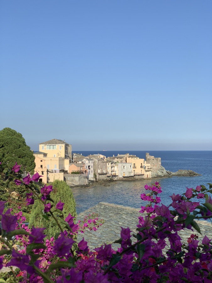 La photo du jour : Erbalunga brillant face à la mer La photo du jour : Erbalunga brillant face à la mer