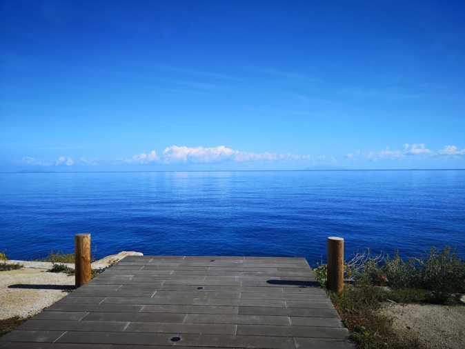 La photo du jour : Une plongée dans la Méditerranée La photo du jour : Une plongée dans la Méditerranée