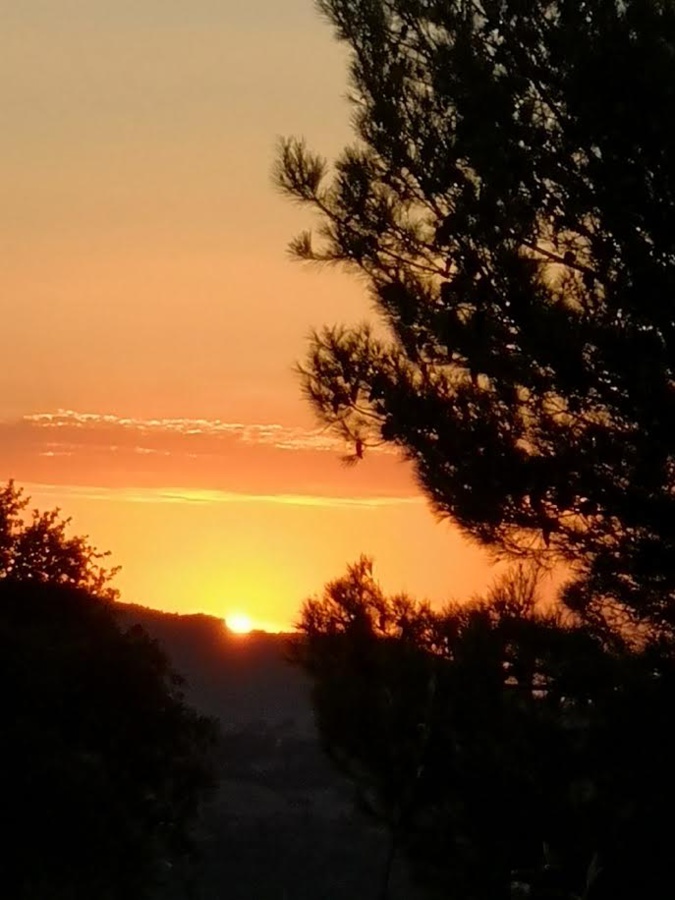 La photo du jour : coucher de soleil dans la plaine de Cuttoli