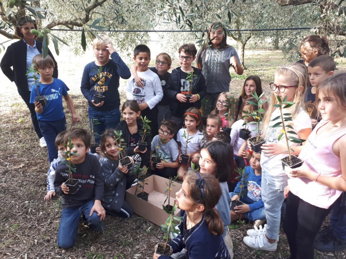Un an après, les enfants du Nebbiu et de la Conca d'Oru retrouvent leurs oliviers Un an après, les enfants du Nebbiu et de la Conca d'Oru retrouvent leurs oliviers
