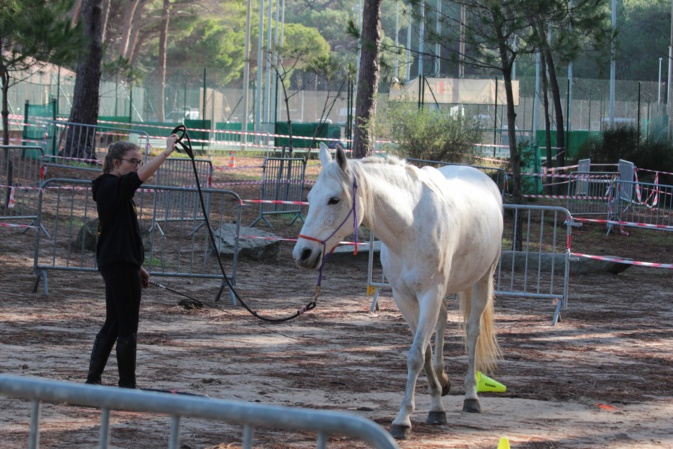 Passage sur un atelier d'Équifeel Passage sur un atelier d'Équifeel