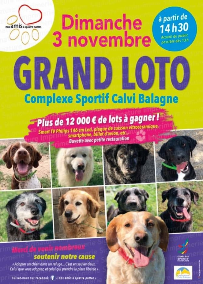 Nos amis à quatre pattes font leur grand loto