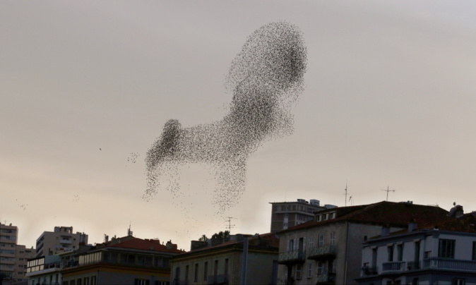 Photo Michel Luccioni