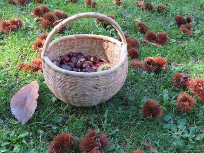 Photo Françoise Geronimi