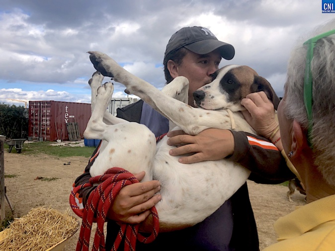 "Nos Amis à Quatre Pattes" : un lieu d'accueil pour trouver une famille pour la vie "Nos Amis à Quatre Pattes" : un lieu d'accueil pour trouver une famille pour la vie