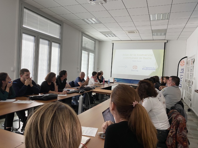 Bastia : enfin un atlas pour préserver la biodiversité de la ville Bastia : enfin un atlas pour préserver la biodiversité de la ville
