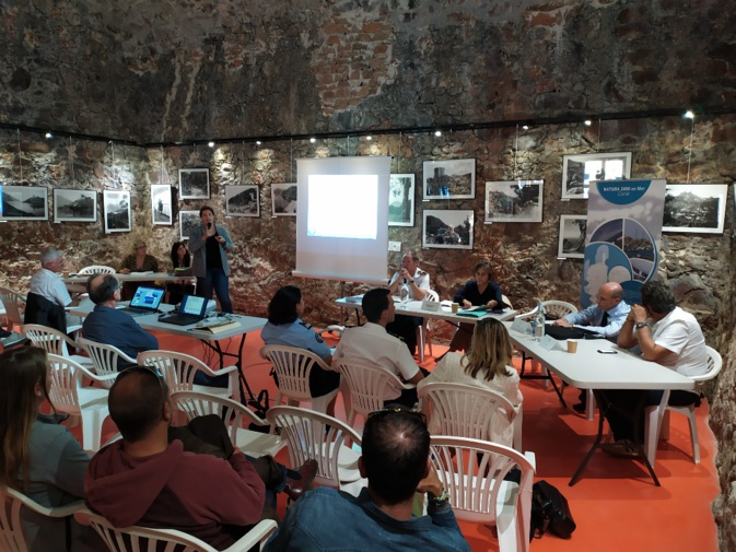 Sites Natura 2000 du secteur « Calvi - Carghjese » : le plan d'actions de l'OEC adopté Sites Natura 2000 du secteur « Calvi - Carghjese » : le plan d'actions de l'OEC adopté